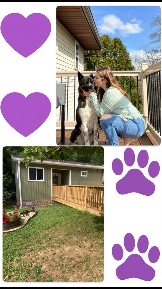 Country Charm Canine Spa Image