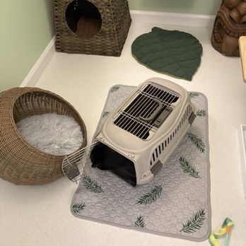 Happy Cat Hotel & Spa - Pet Boarding Near Me - Mount Laurel Township, New Jersey