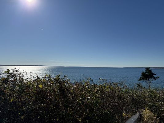 Nobska Lighthouse by null