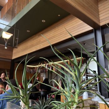 Traveler's Table - Interior - Tapas/Small Plates Near Me - Houston, Texas