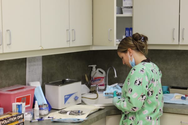 BRUNSWICK DENTAL CARE - Updated April 2025 - 15 Photos - 225 Demott Ln