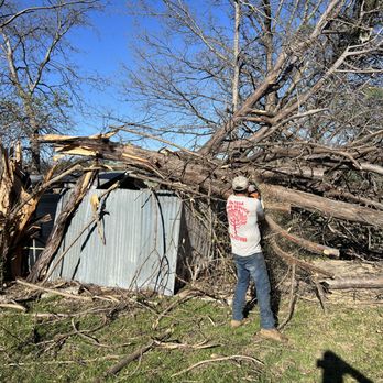 Ortega Tree Service - Tree Services Near Me Ortega Tree Service - Tree Services Near Me