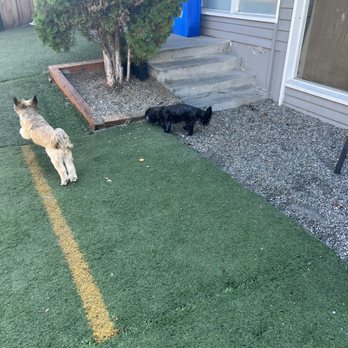 Dogwood Play Park - Dog Parks Near Me - Seattle, Washington Dogwood Play Park - Dog Parks Near Me - Seattle, Washington