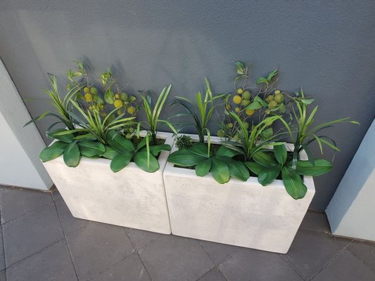 Tulsi Indian Eatery (Northridge) by null