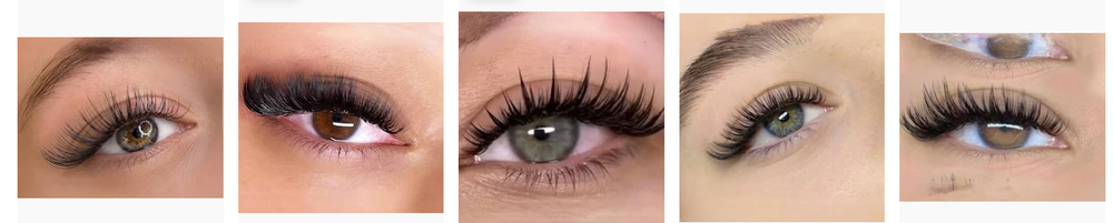 Blueberrylash Logo