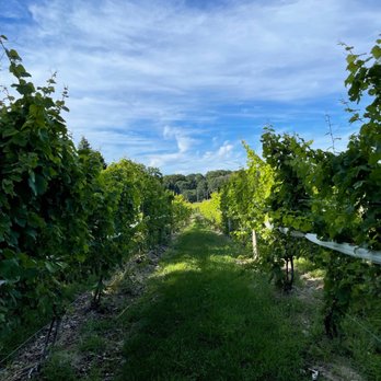 Bowers Harbor Vineyards - Vineyards @ Bowers Harbor - Wineries Near Me - Traverse City, Michigan Bowers Harbor Vineyards - Vineyards @ Bowers Harbor - Wineries Near Me - Traverse City, Michigan