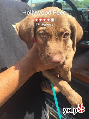 Hollywood Feed by null