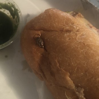 Halal Munchies - Halal Near Me - Fresh Meadows, New York