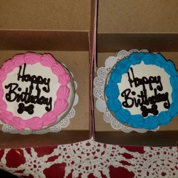 gussied up dog boutique