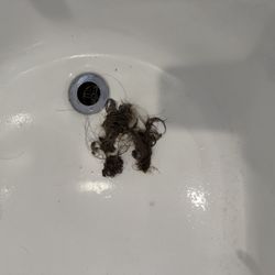 Gold Beach Inn - Just a portion of what I cleaned out of the drain in order for my family to take showers.