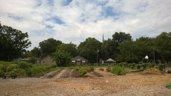 Fresh Future Farm by null