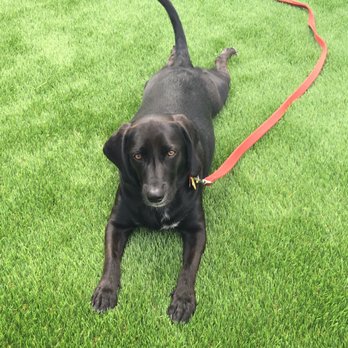 Smart Synthetic Turf - Artificial Turf Near Me