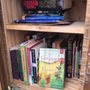 Photo of Little Free Library