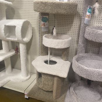 PetSmart - It was inevitable - Pet Groomers Near Me - Aurora, Illinois