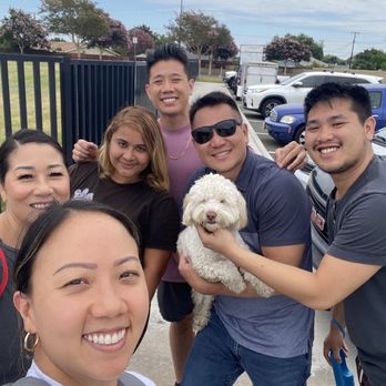 OffLeash SoCal - Our puppy is back and better!! - Pet Training Near Me - Santa Monica, California