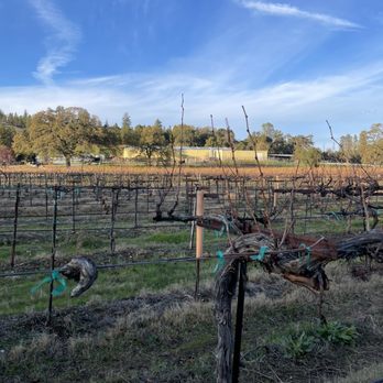 Ironstone Vineyards - Vineyards - Wineries Near Me - Murphys, California
