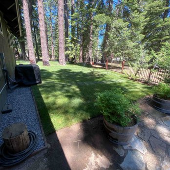 Hull Agronomics - A backyard scene featuring a grassy lawn, tall pine trees, and a swing set, with a wooden fence and a stone patio area. - Landscaping Near Me