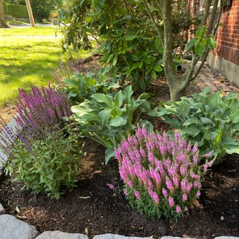 Joshua Landscaping - My front yard - Landscaping Near Me - Revere, Massachusetts