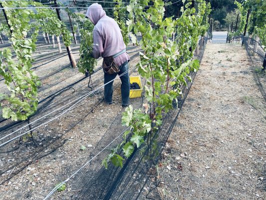 Elleary Wine Tasting Room by null