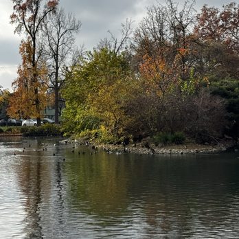 McKinley Park - Parks Near Me - Sacramento, California McKinley Park - Parks Near Me - Sacramento, California