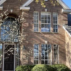 First Watch Window Wash - Clean windows!