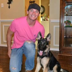Wagg The Dog Trainer