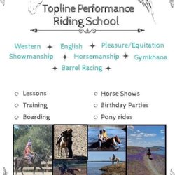 Topline Performance Riding School