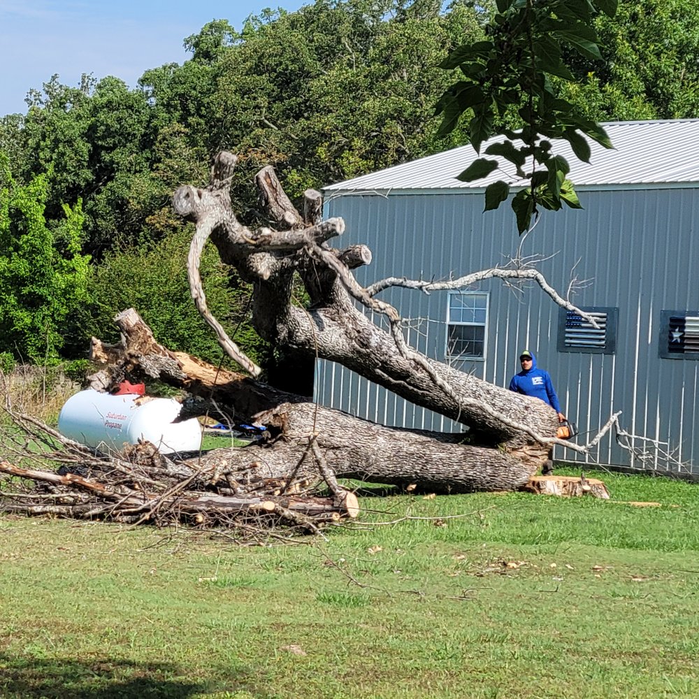 J. Efren Tree Service - Tree Services Near Me