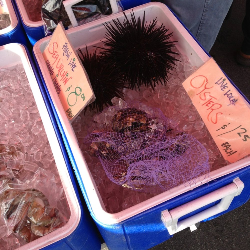 Oceanside Farmer's Market - Sea urchins - Farmers Market Near Me - Oceanside, California