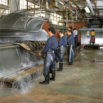 David's Rug Cleaning - Rugs Near Me - Montclair, New Jersey David's Rug Cleaning - Rugs Near Me - Montclair, New Jersey