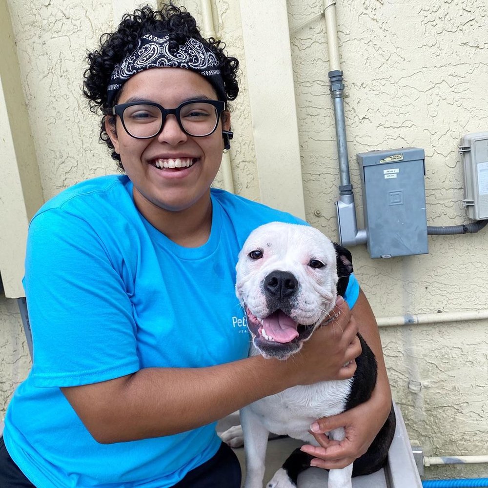 PET PARADISE FT. LAUDERDALE 57 Photos & 48 Reviews Pet Groomers