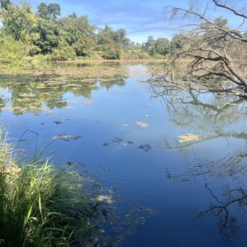 Lodi Lake Nature Trail - Pig Lake - Parks Near Me - Lodi, California