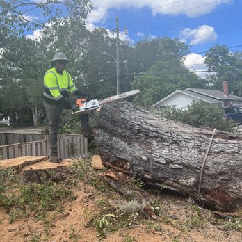 Technical Trees and Landscaping - Tree Services Near Me Technical Trees and Landscaping - Tree Services Near Me