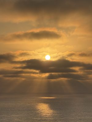 Torrey Pines Gliderport by null