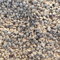 Shim Coffee Farm