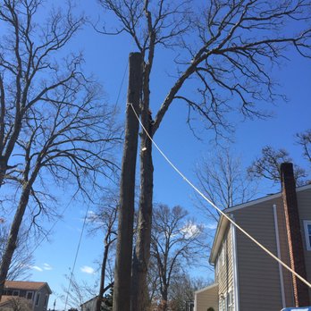 T & M Greencare - Tree Services Near Me - Freeport, New York T & M Greencare - Tree Services Near Me - Freeport, New York
