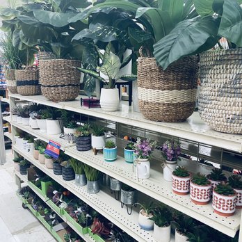Big Lots - Department Stores Near Me - Webster, Texas