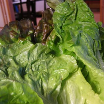Koreana - Red-leaf Lettuce, which comes out for the BBQ. - Korean Near Me - Schaumburg, Illinois