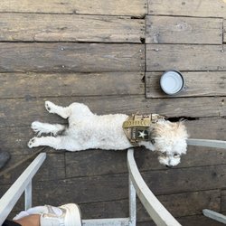 La Cerve - Pets are allowed