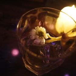 The Obscure Distillery - Divine Paradox