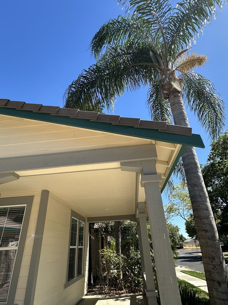 Slide of Moss X Roof Cleaning and Repair