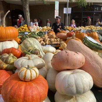 Circleville Pumpkin Show - All the pumpkins for sale - Festivals Near Me - Circleville, Ohio