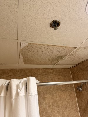 Mi Casa Hotel by null