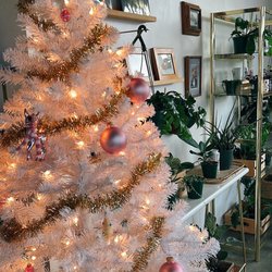 Forage Coffee - Inside at Christmas-time :)