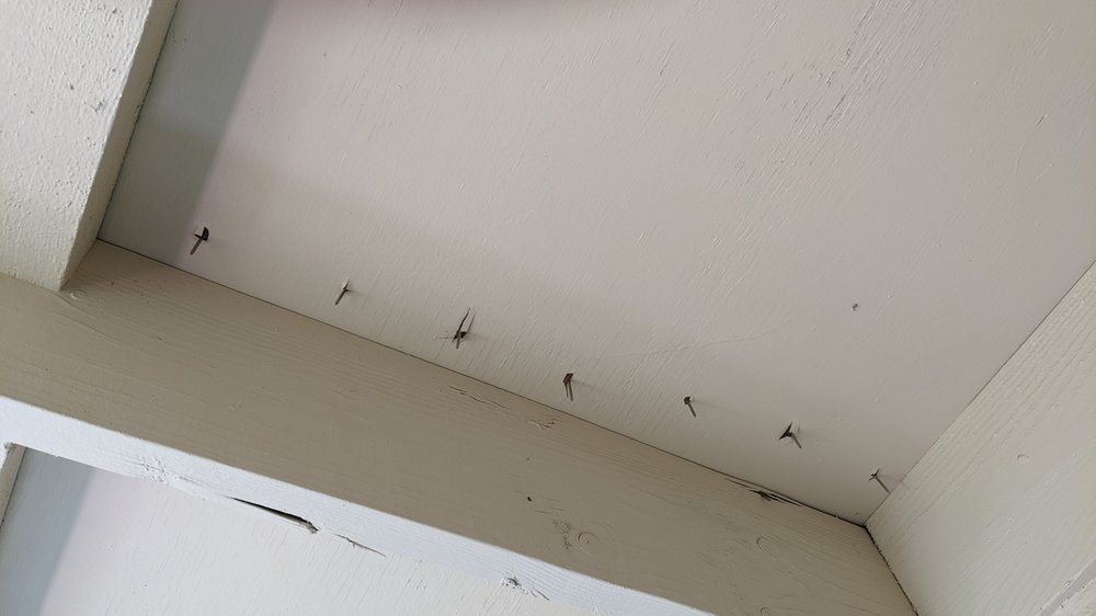 Slide of Premier Roofing CA