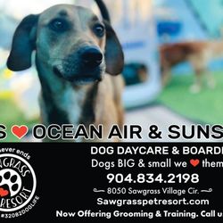 Sawgrass Pet Resort