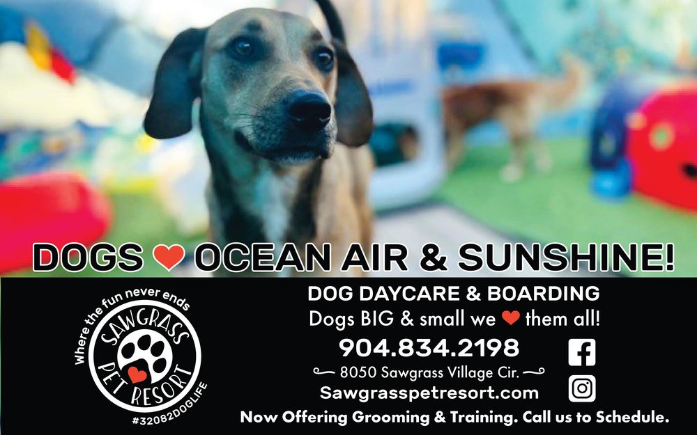 Sawgrass Pet Resort - pet boarding facility in Ponte Vedra Beach, FL