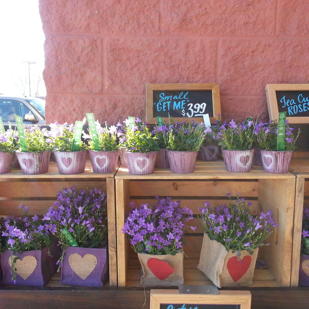 Trader Joe's - Grocery Near Me - Folsom, California Trader Joe's - Grocery Near Me - Folsom, California