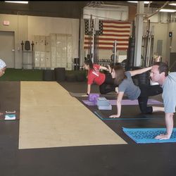 The Shed Strength and Performance