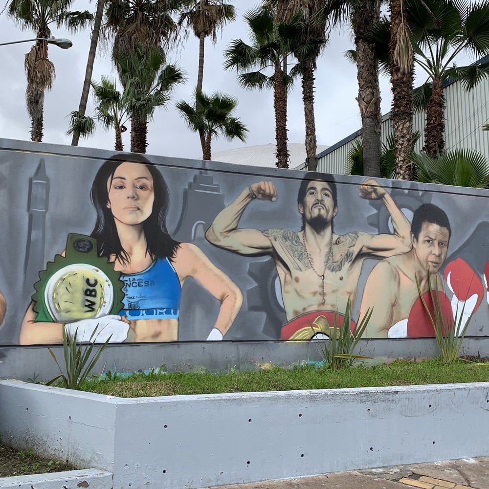Auditorio Fausto Gutiérrez Moreno - Famous Mexican boxers - Performing Arts Near Me - Tijuana, BCN